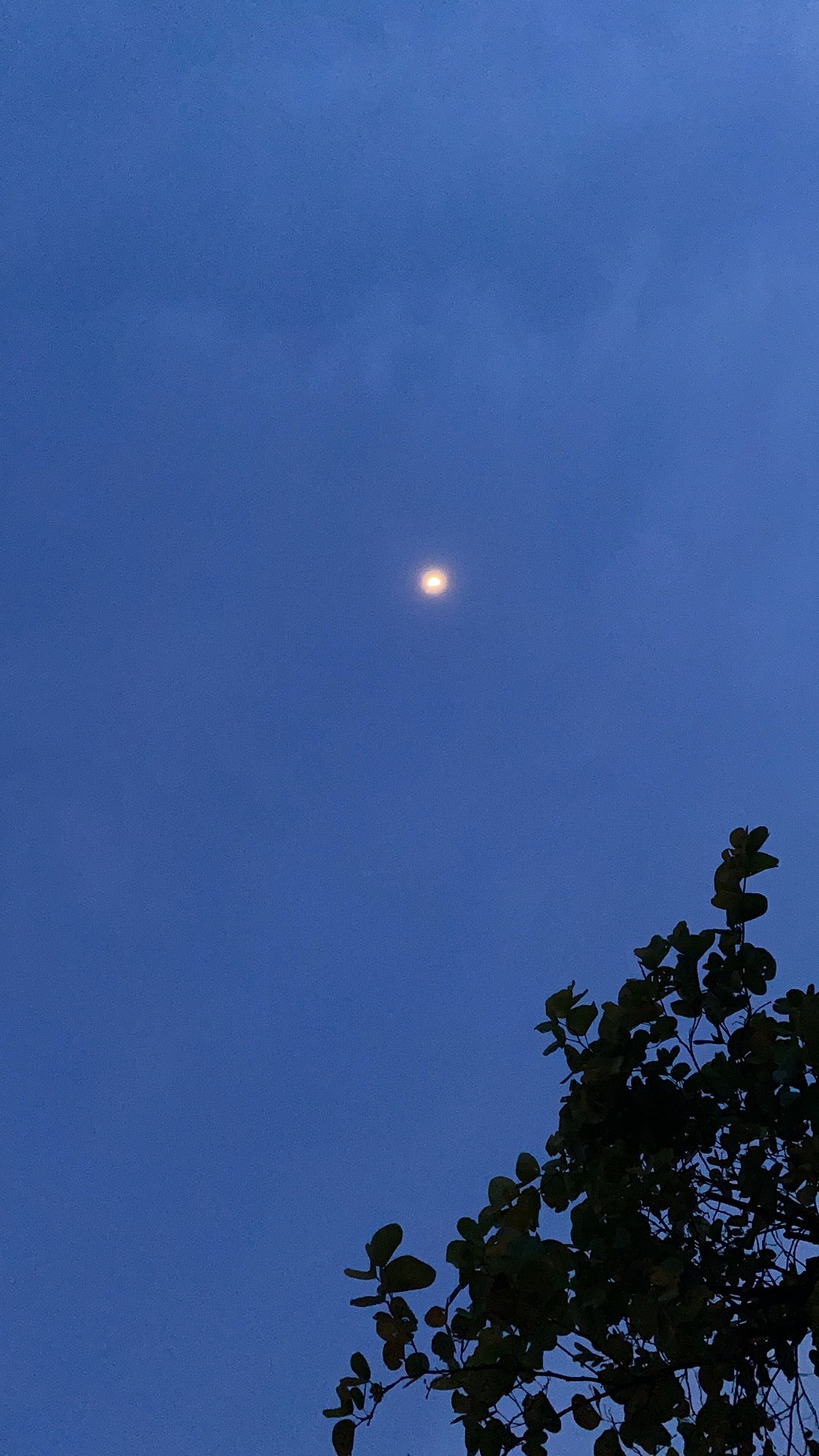 外环西路江边傍晚黄昏