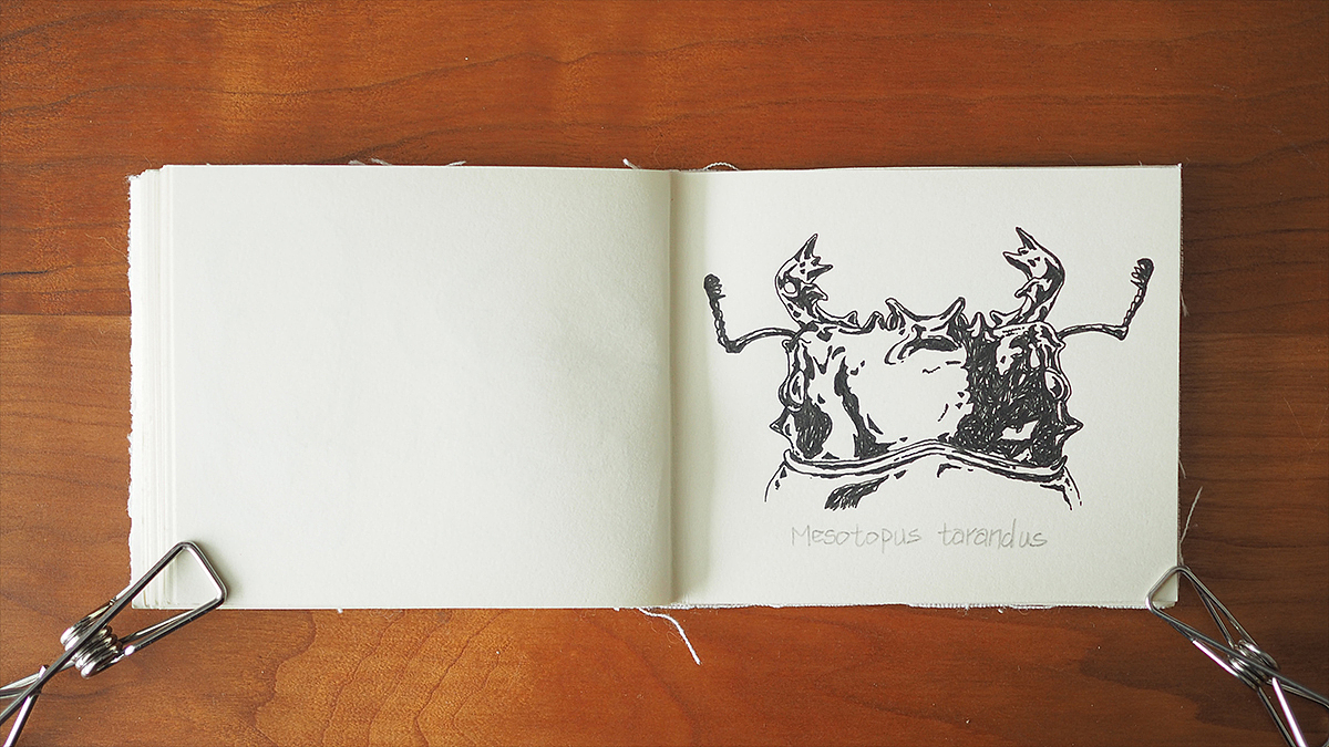 野武士的头颅 | WILDSAMURAI'S HEADS（图ZMTg0MjY2OTYw） - 绘本 - 站酷设计师coozie原创素材 - 站酷ZCOOL