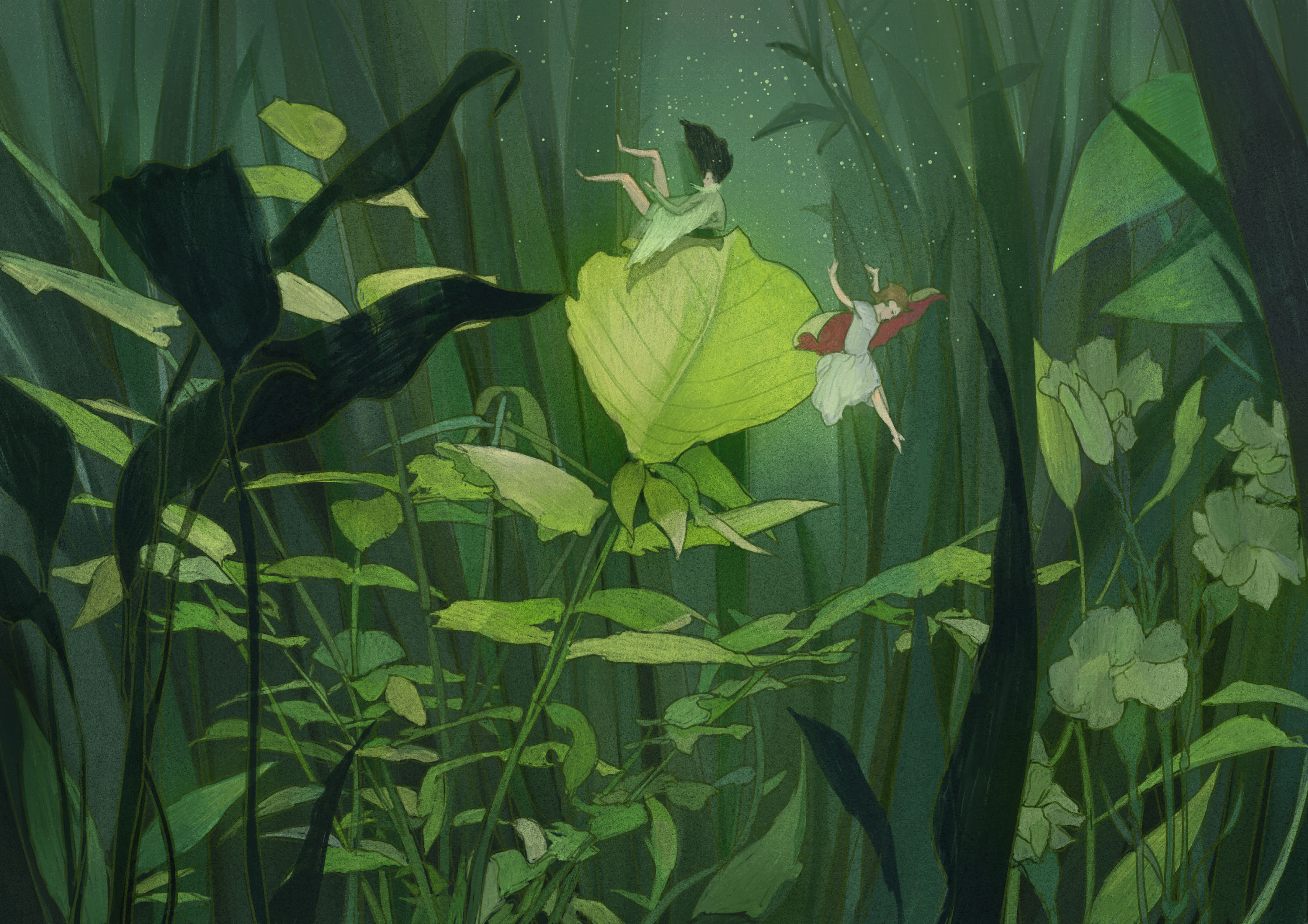 飞鸟集完结汇总|插画|插画习作|中下游 - 原创作品 - 站酷 (zcool)