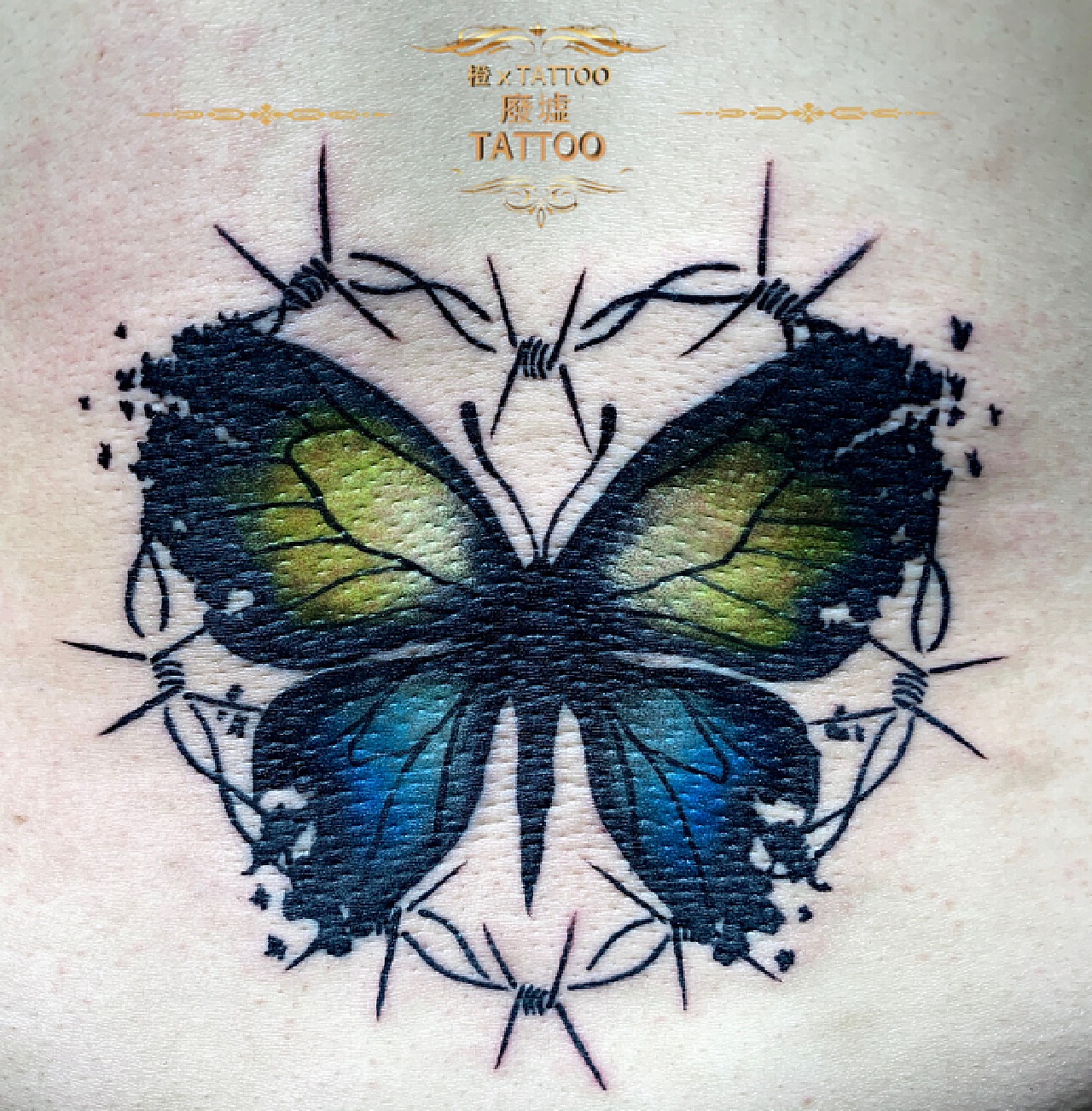 后背色彩蝴蝶纹身图案