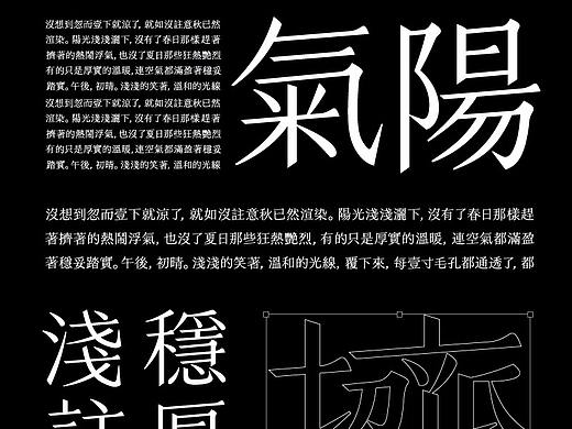 宋体的可能性