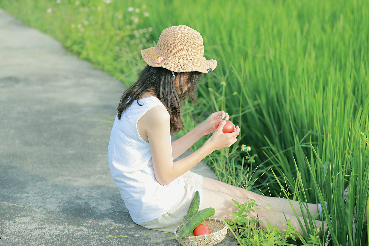 《小森林》——夏日篇