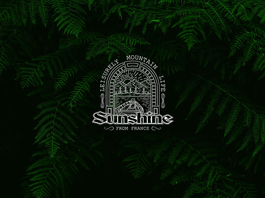 Sunshine 品牌设计