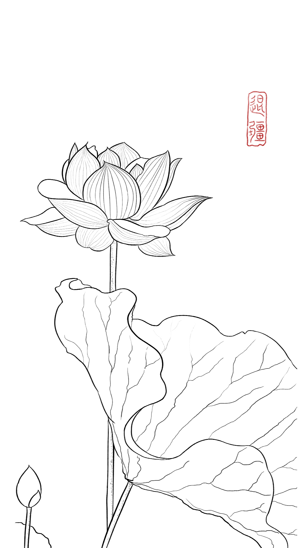 白菜升级记:第一篇