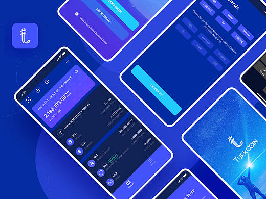 区块链数字金融APP-Turkcoin