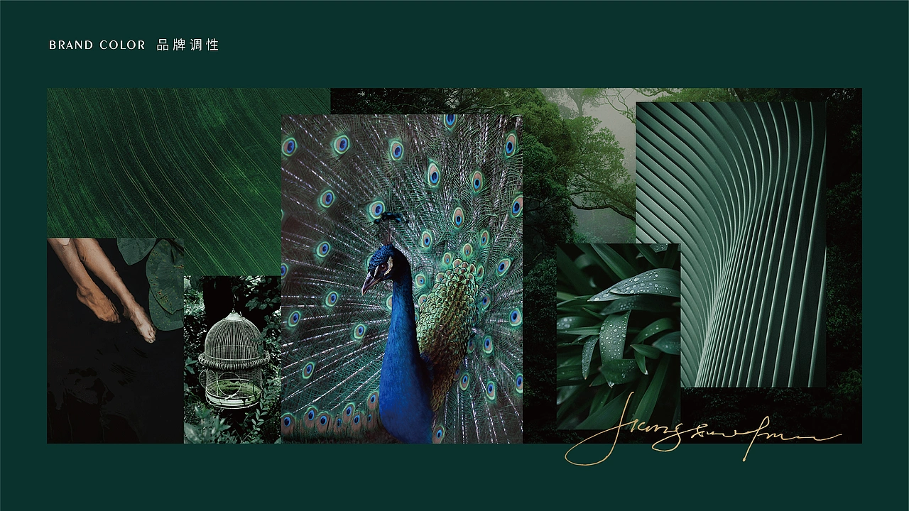 酱香夫人 | 白酒品牌全案升级