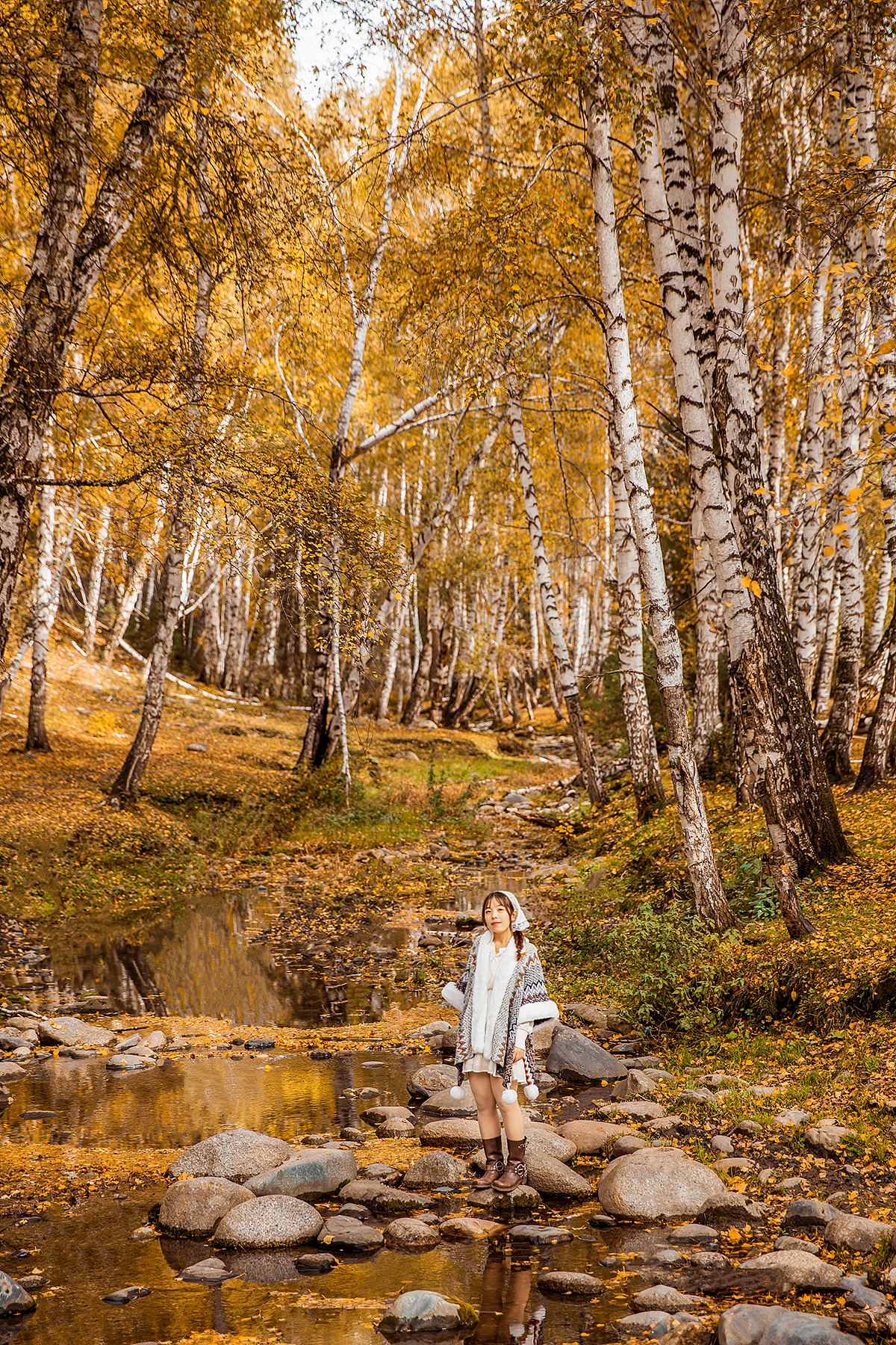 【新疆】禾木的秋天