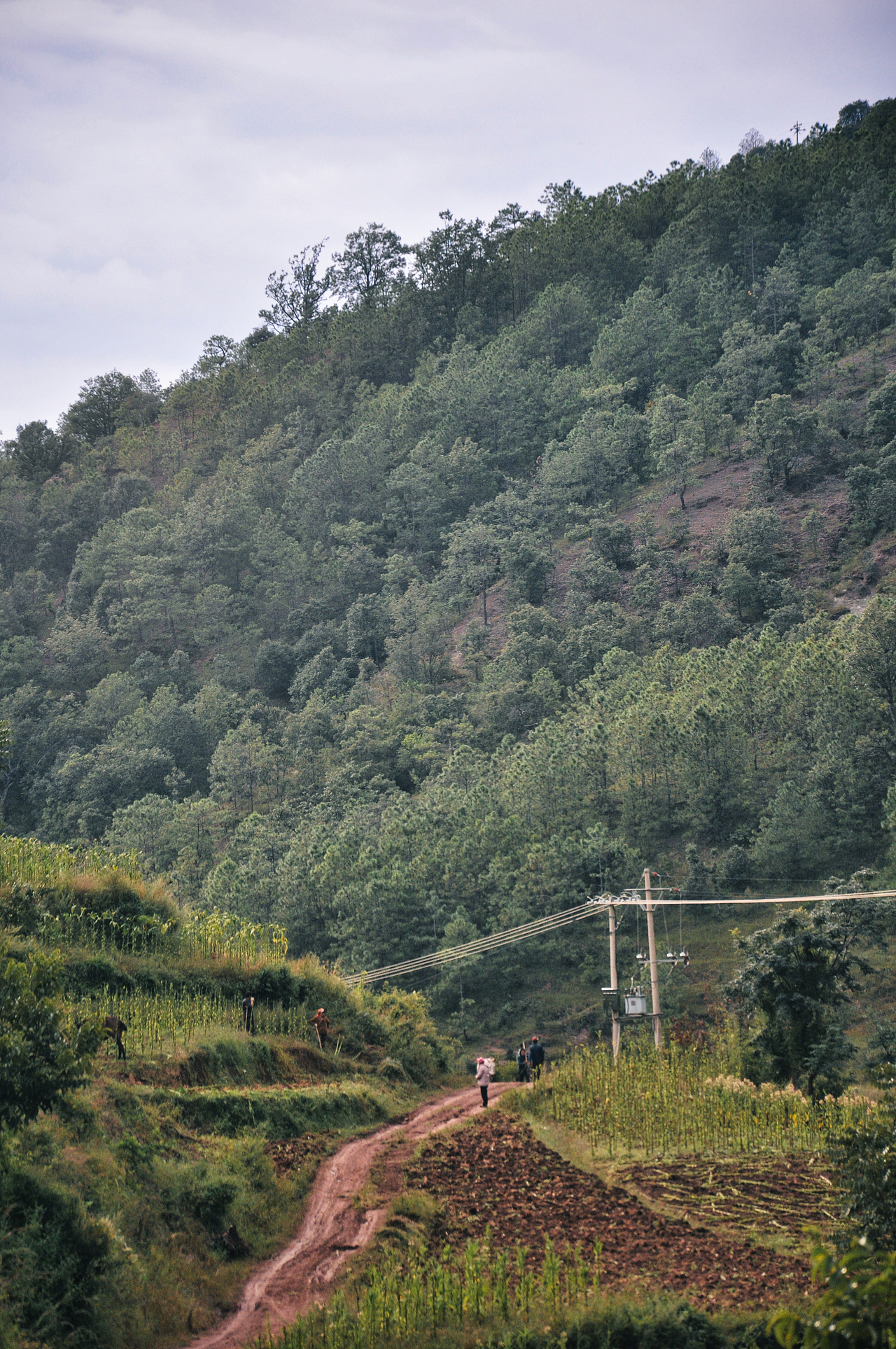 2013年国庆回家村子里（一）（图ZMzU2ODEzODgw） - 人文/纪实摄影 - 站酷设计师焦虑到掉头发原创素材 - 站酷ZCOOL