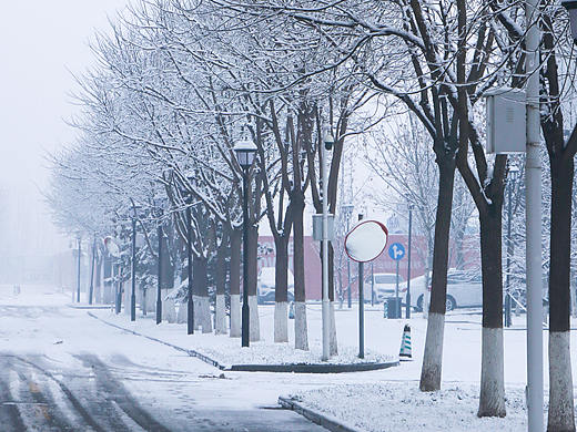 练习拍摄雪景