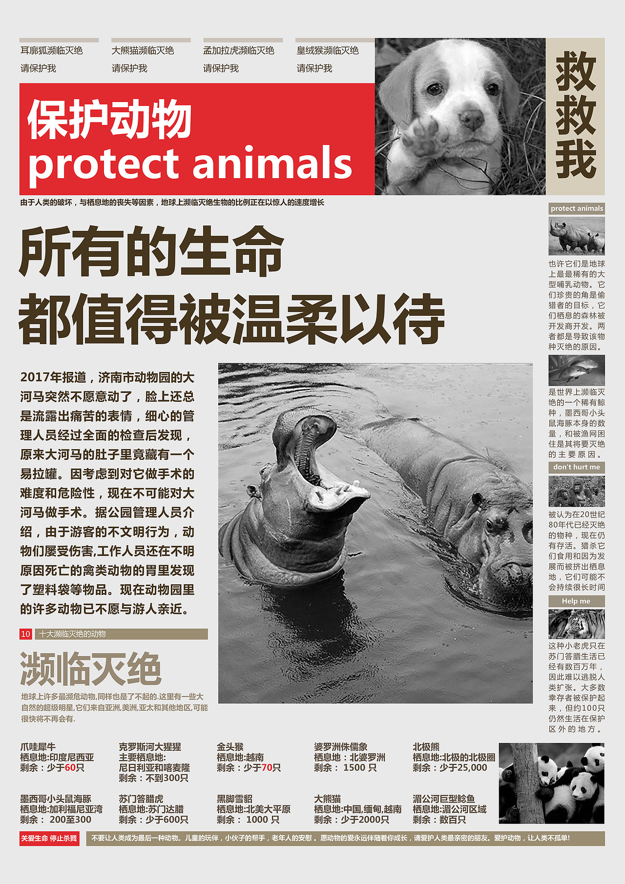 请给动物一点爱（图ZMTY4NDM3OTE2） - 海报 - 站酷设计师做个梦给你啊原创素材 - 站酷ZCOOL