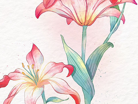 花花草草（个人主页-ZNjMwNjQ4MDg=） - 商业插画 - 站酷设计师QQ爱吃QQ糖原创素材 - 站酷ZCOOL