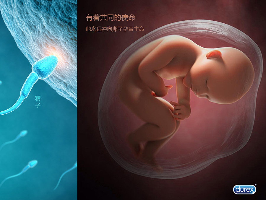 小蝌蚪的梦想（图ZMjc2MDA4NzY=） - 包装 - 站酷设计师新萝卜包装设计原创素材 - 站酷ZCOOL