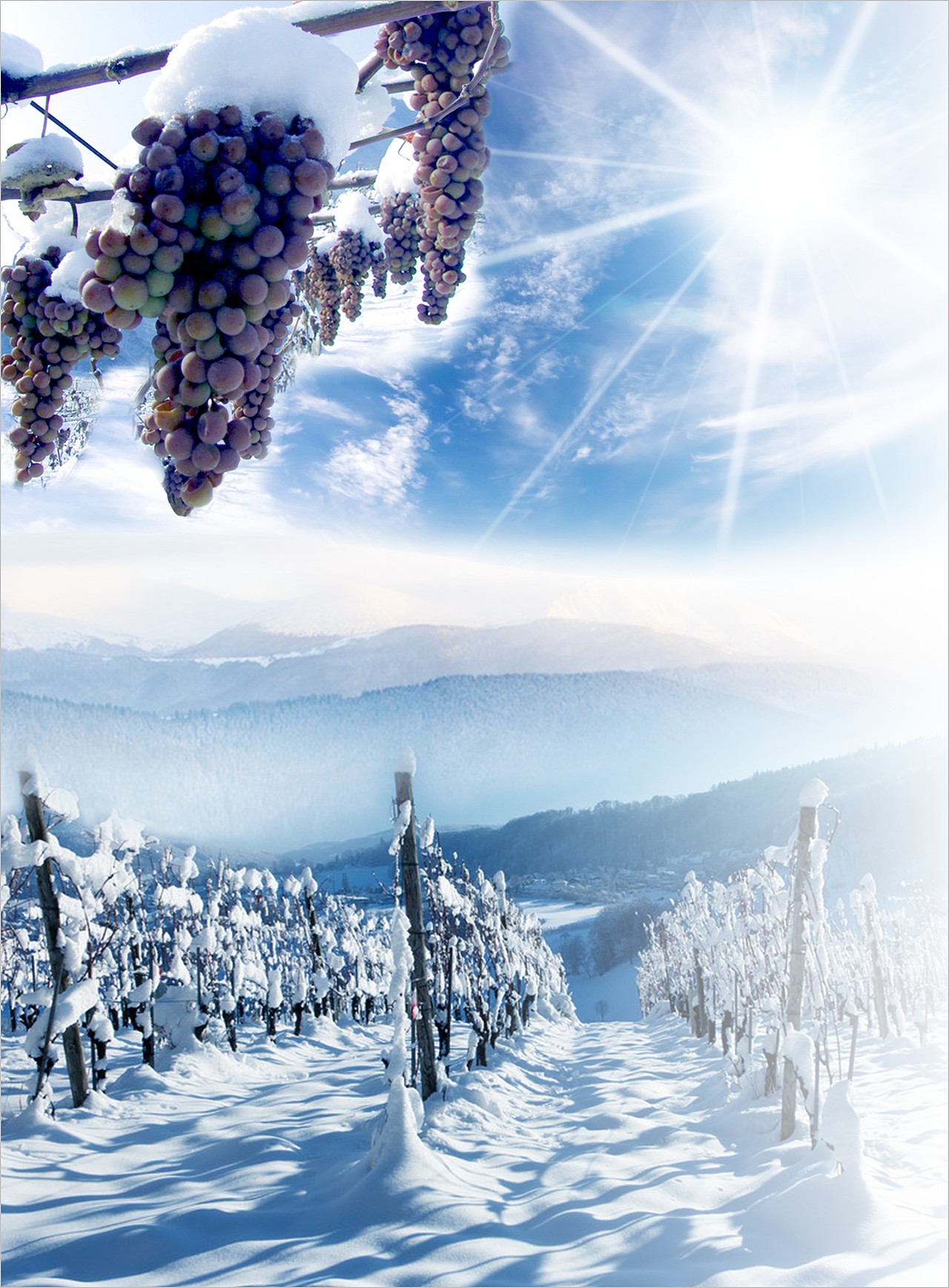 辛苦出来的画册