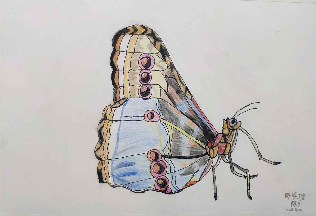 陈子画室 星沙画室 长沙县画室长沙画室 素描 油画漫画