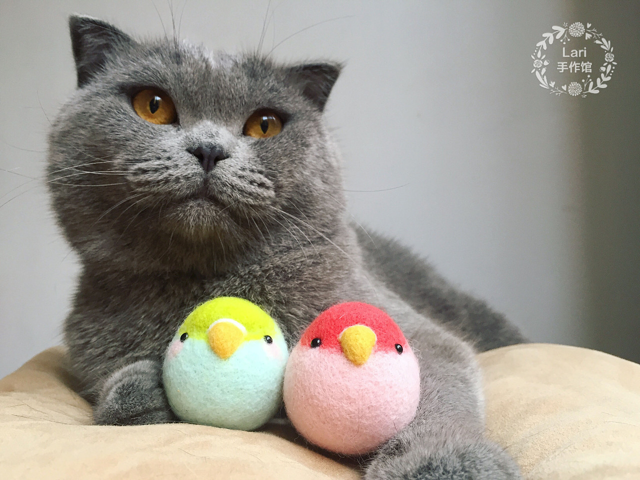 羊毛毡手工肉嘟嘟小鸟儿~ 肥啾