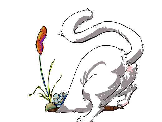 好奇的貓（個(gè)人主頁-ZNDA0MzkxOTY=） - 圖案 - 站酷設(shè)計(jì)師貓里奧的貓?jiān)瓌?chuàng)素材 - 站酷ZCOOL