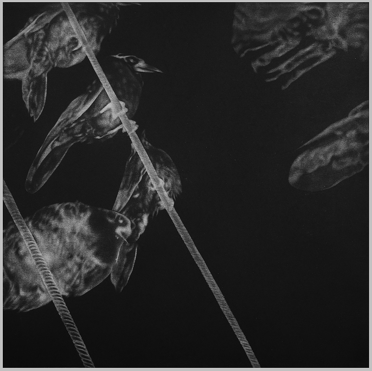 迷失者的悲歌7  铜版 50x50cm 2016 李双强