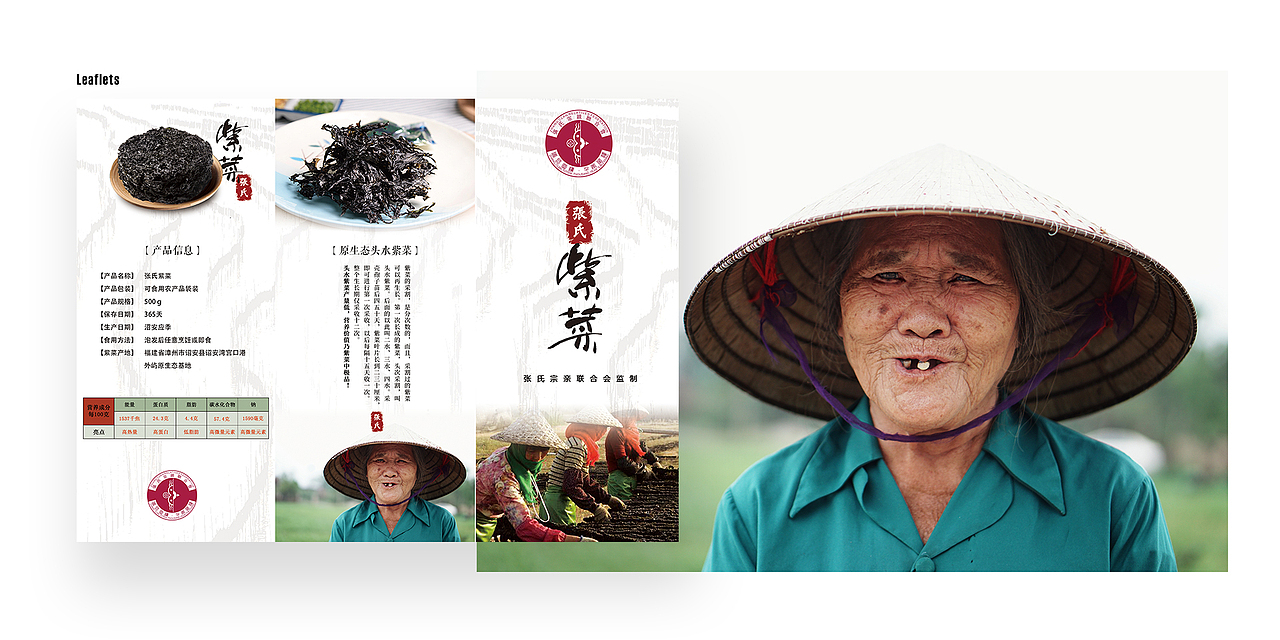 张氏紫菜宣传单 平面三折页