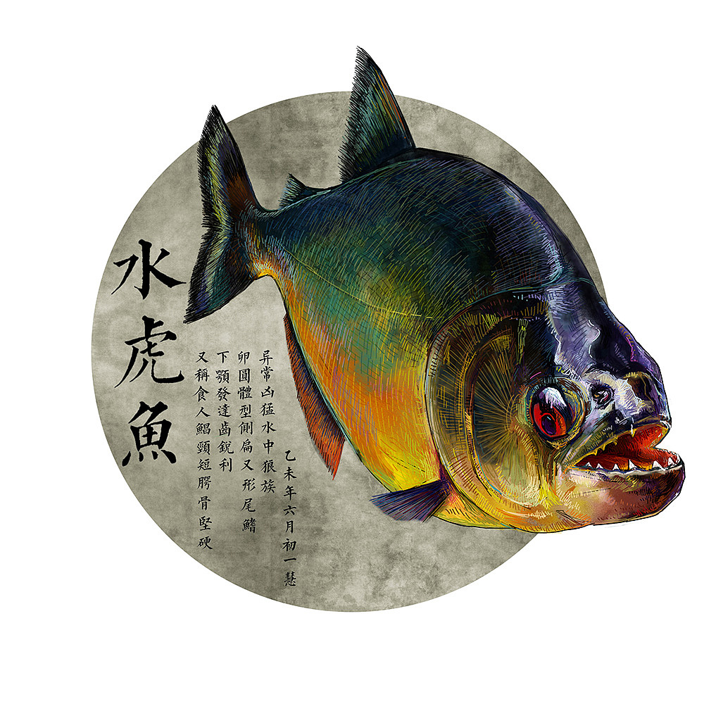 海鲜食材 系列之 ——水虎鱼 未完待续……（图ZMzE5OTI3ODg=） - 商业插画 - 站酷设计师大树插画工作室原创素材 - 站酷ZCOOL