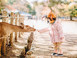 2019，温柔的你来了。