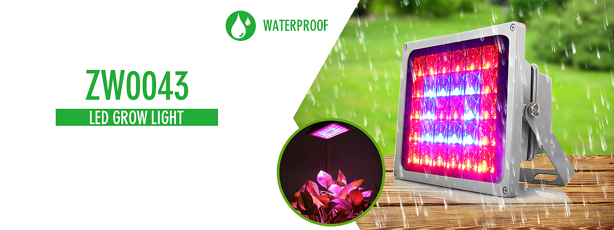 外贸设计（图ZMTQ2NDY2ODA0） - 个人网站 - 站酷设计师popop4原创素材 - 站酷ZCOOL