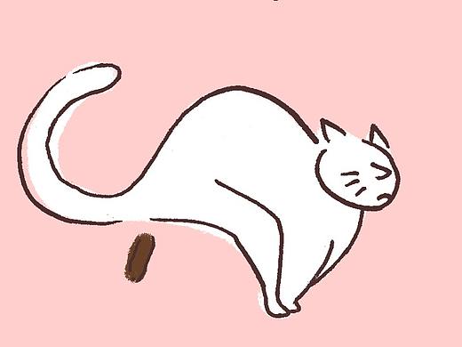 猫猫那么可爱，屎怎么这么臭