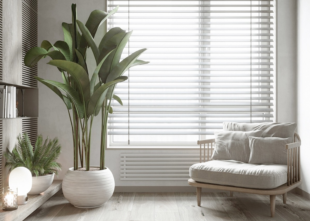 简约家装效果图