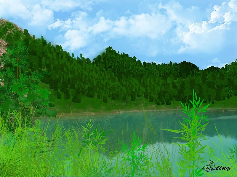 插画类