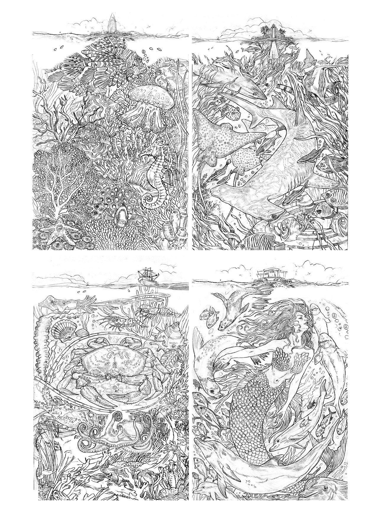 Under the “SEE” 《水面之下 快乐之上》