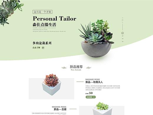 多肉植物网页设计