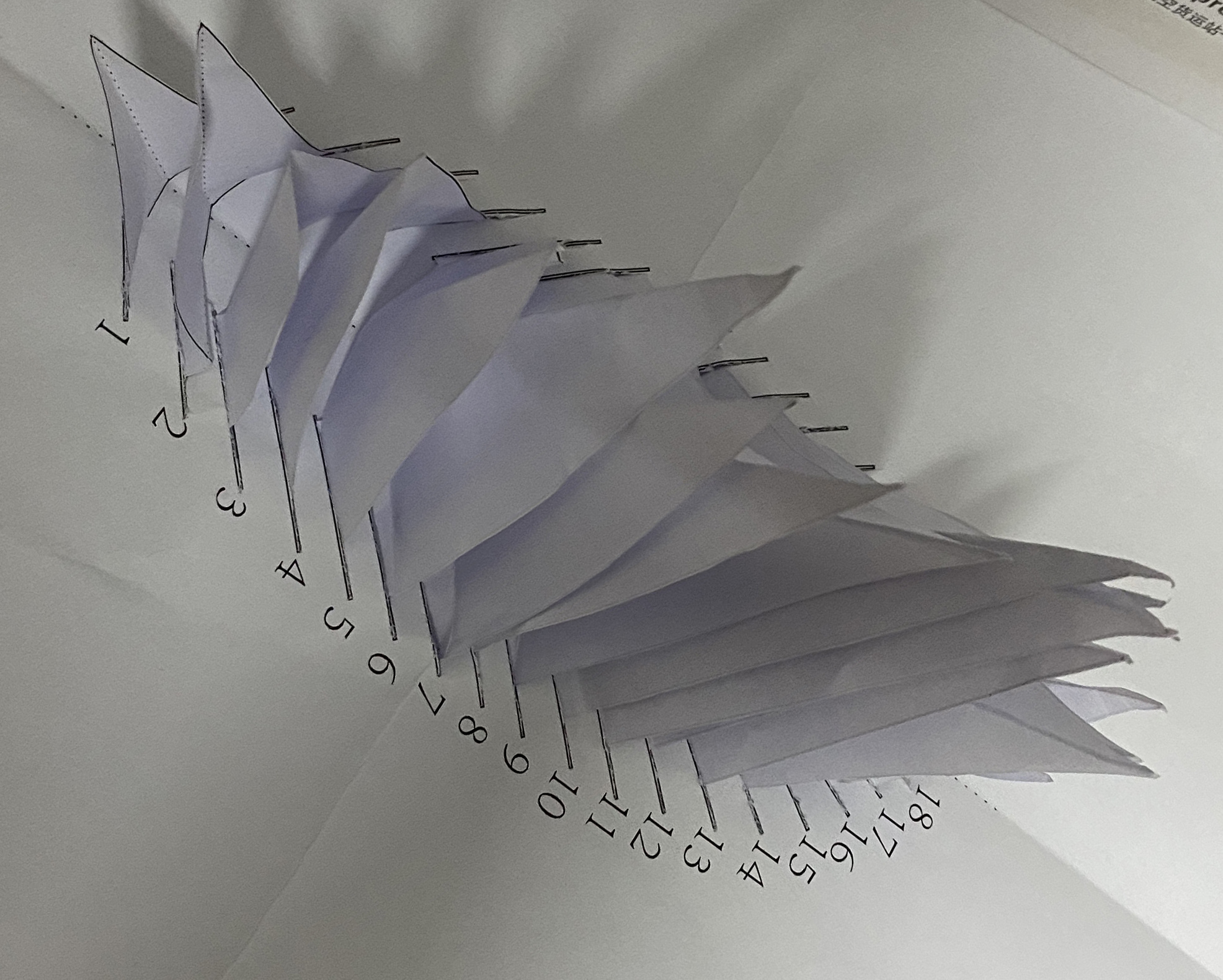 大二立体构成和色彩构成作业