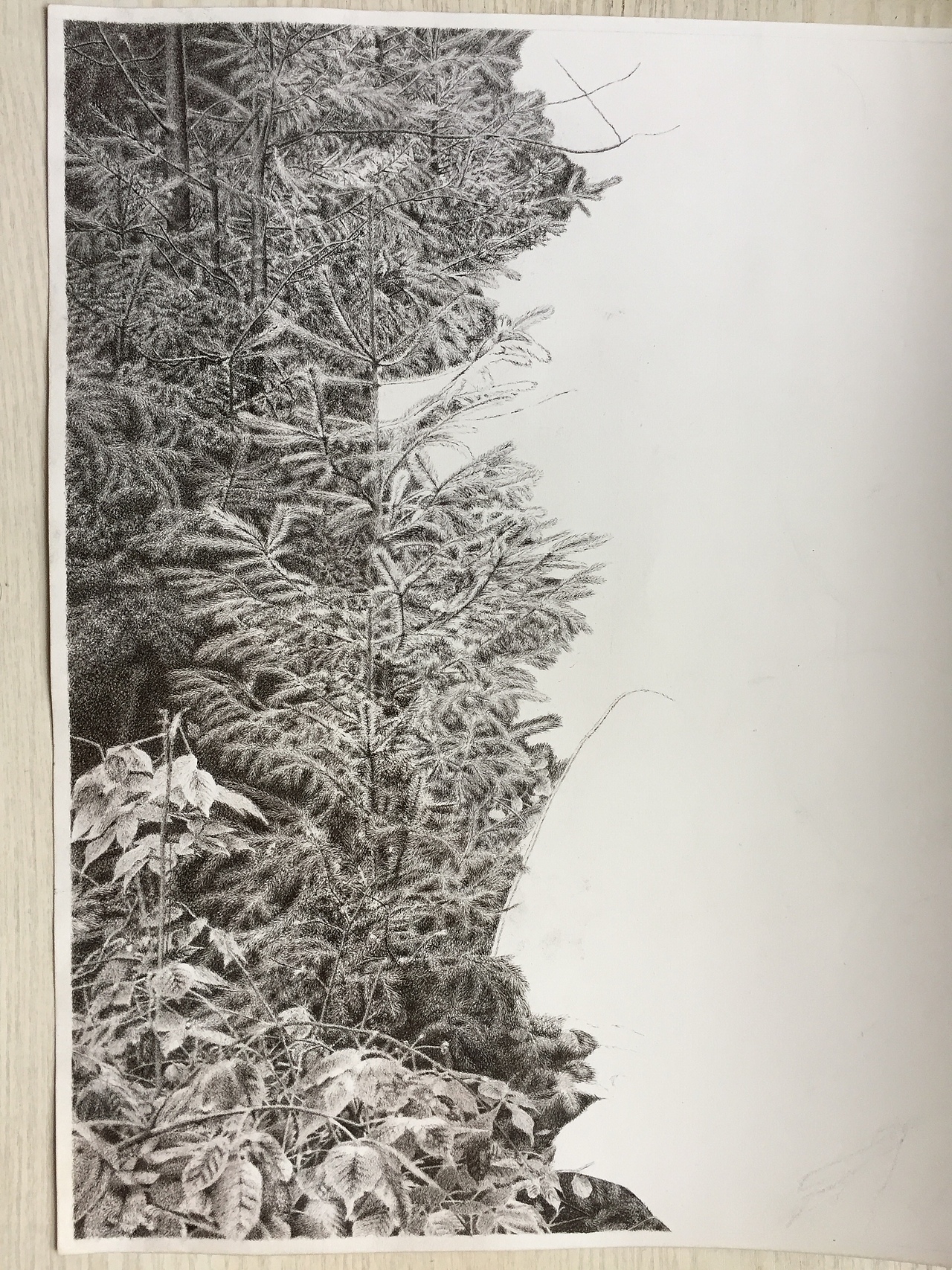 【JF手绘】钢笔画作品-2（图ZMTgyODQzMjAw） - 绘画 - 站酷设计师王敬夫JF原创素材 - 站酷ZCOOL