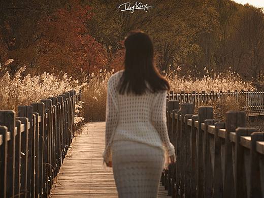 晚秋的风🍂