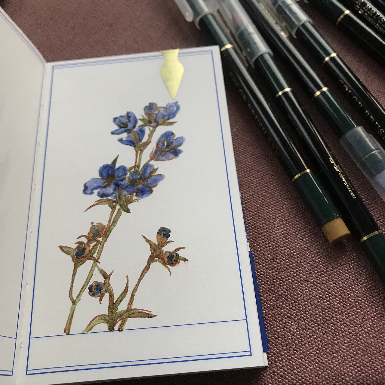 自己的鲜花图鉴（图ZMjAyMDQ4NzQ0） - 艺术插画 - 站酷设计师AMENGA原创素材 - 站酷ZCOOL