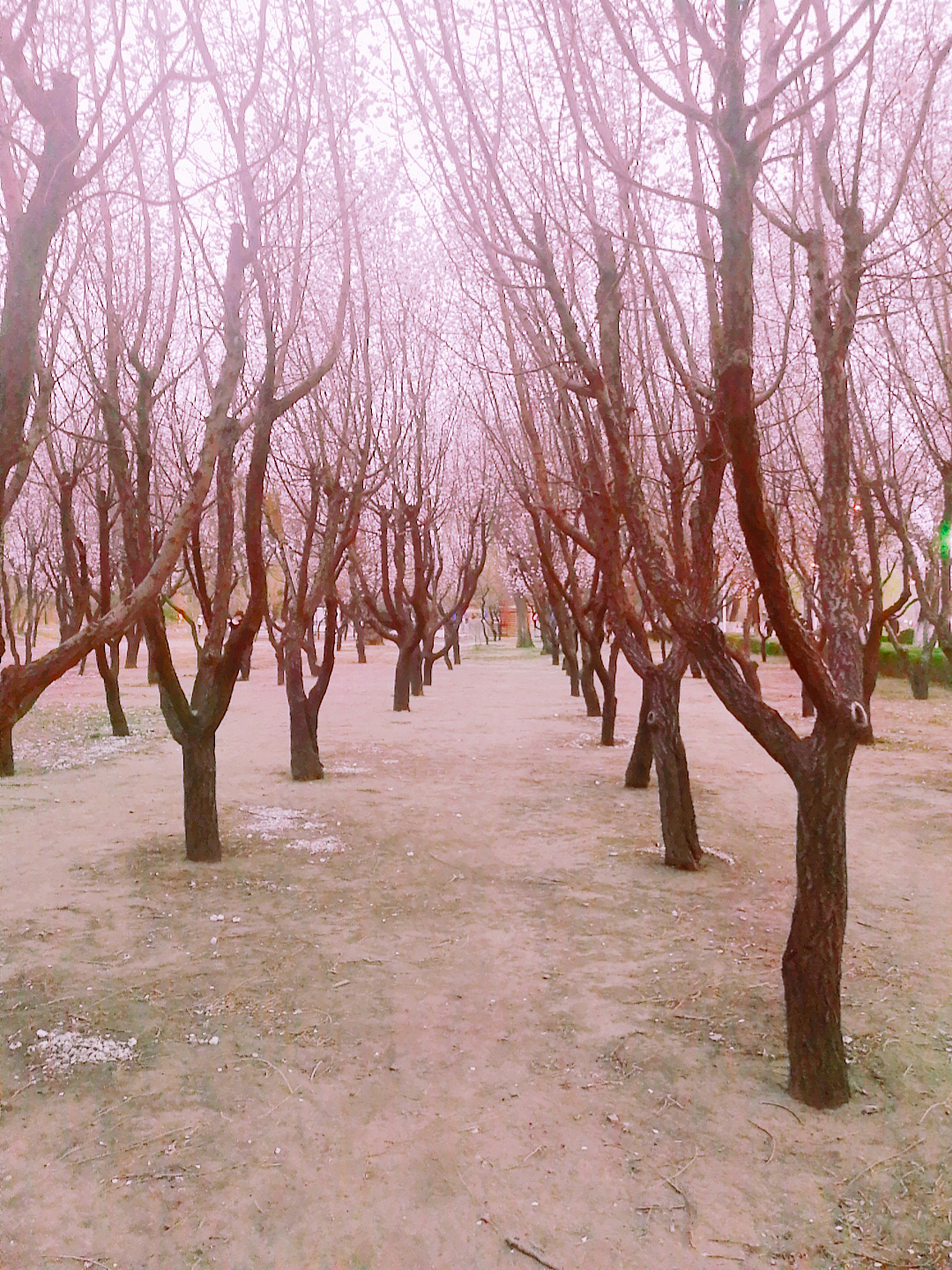 本溪 · 望溪公园