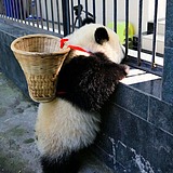 木木冬雨的头像
