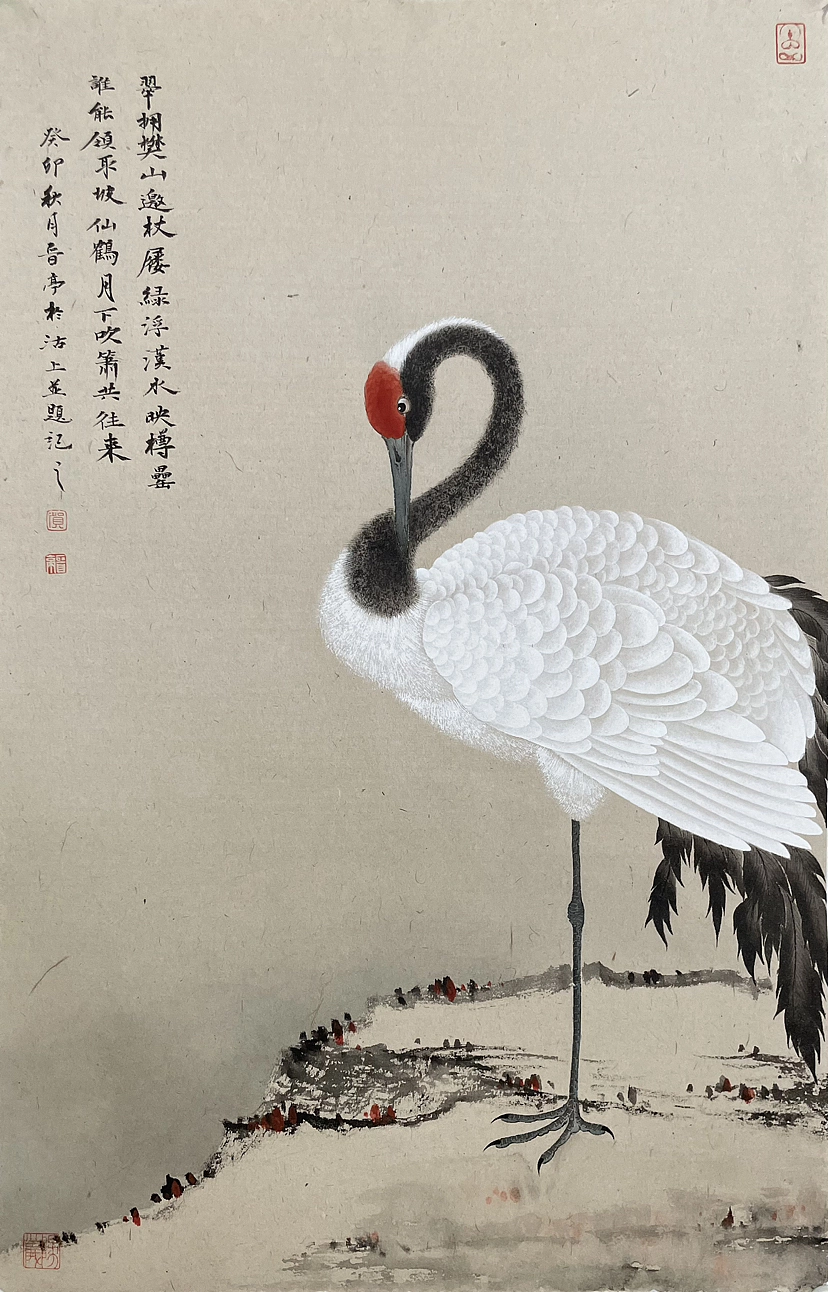 《秀羽写生系列》