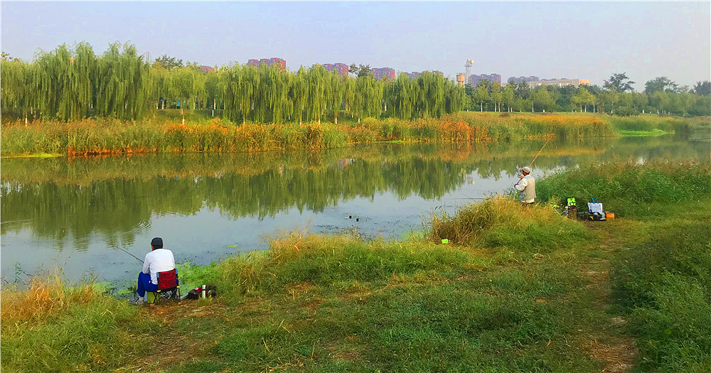 刘勇良手机纪实摄影：闲来垂钓碧溪上（图ZMTc5ODM0NjQ4） - 人文/纪实摄影 - 站酷设计师刘勇良意创书设原创素材 - 站酷ZCOOL