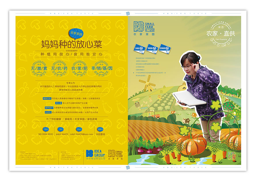 诚与实务出品:无公害蔬菜项目推广设计