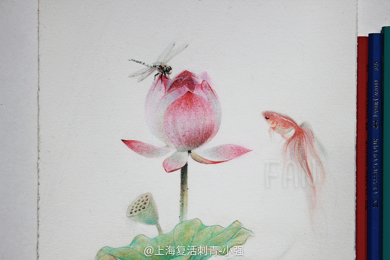 原创彩铅《莲花和鱼》