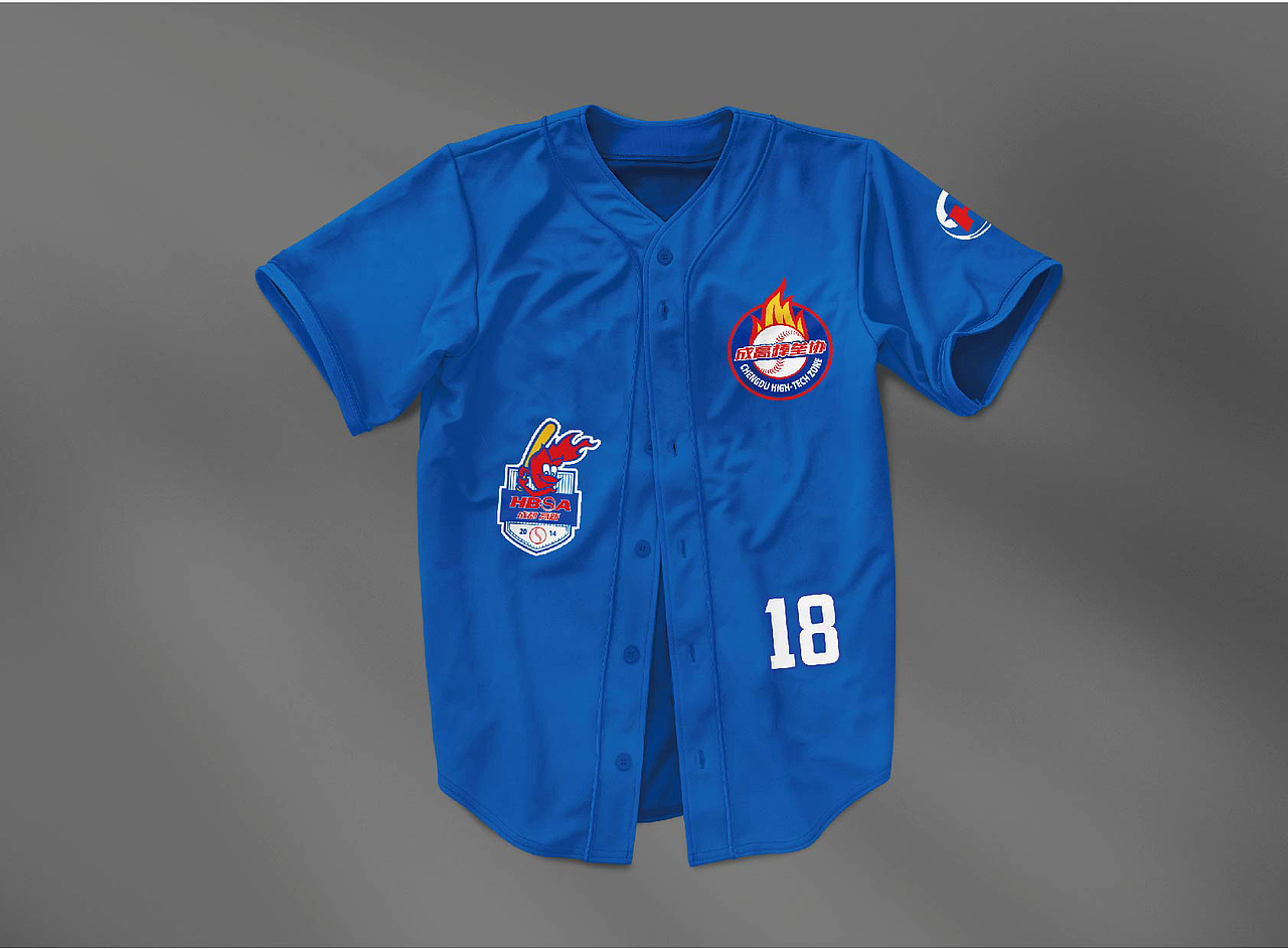 成都市高新区棒垒球协会VI