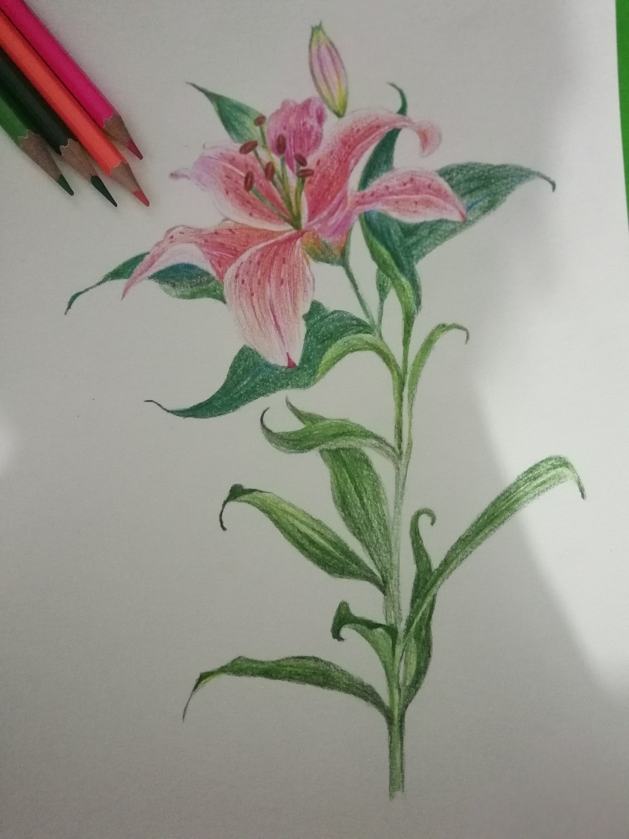 练习（图ZMTkwNDU0OTk2） - 艺术插画 - 站酷设计师晨燕e曦菲原创素材 - 站酷ZCOOL