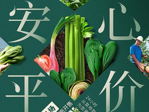 安心平价蔬菜频道专场