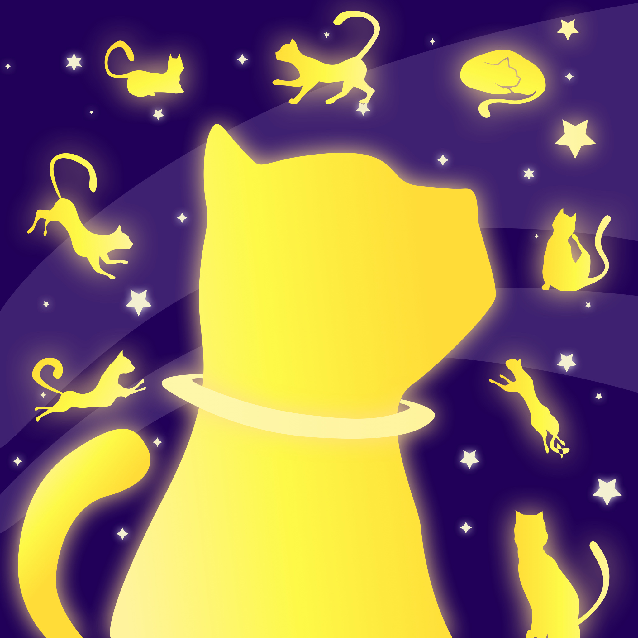 夜空中的猫
