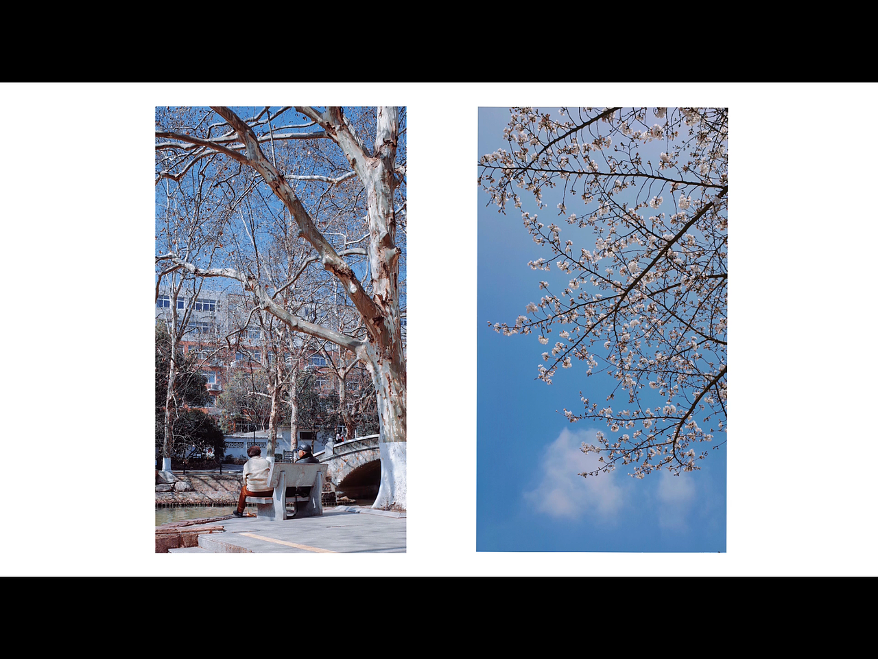 【浮生一梦】2021理光摄影作品总结