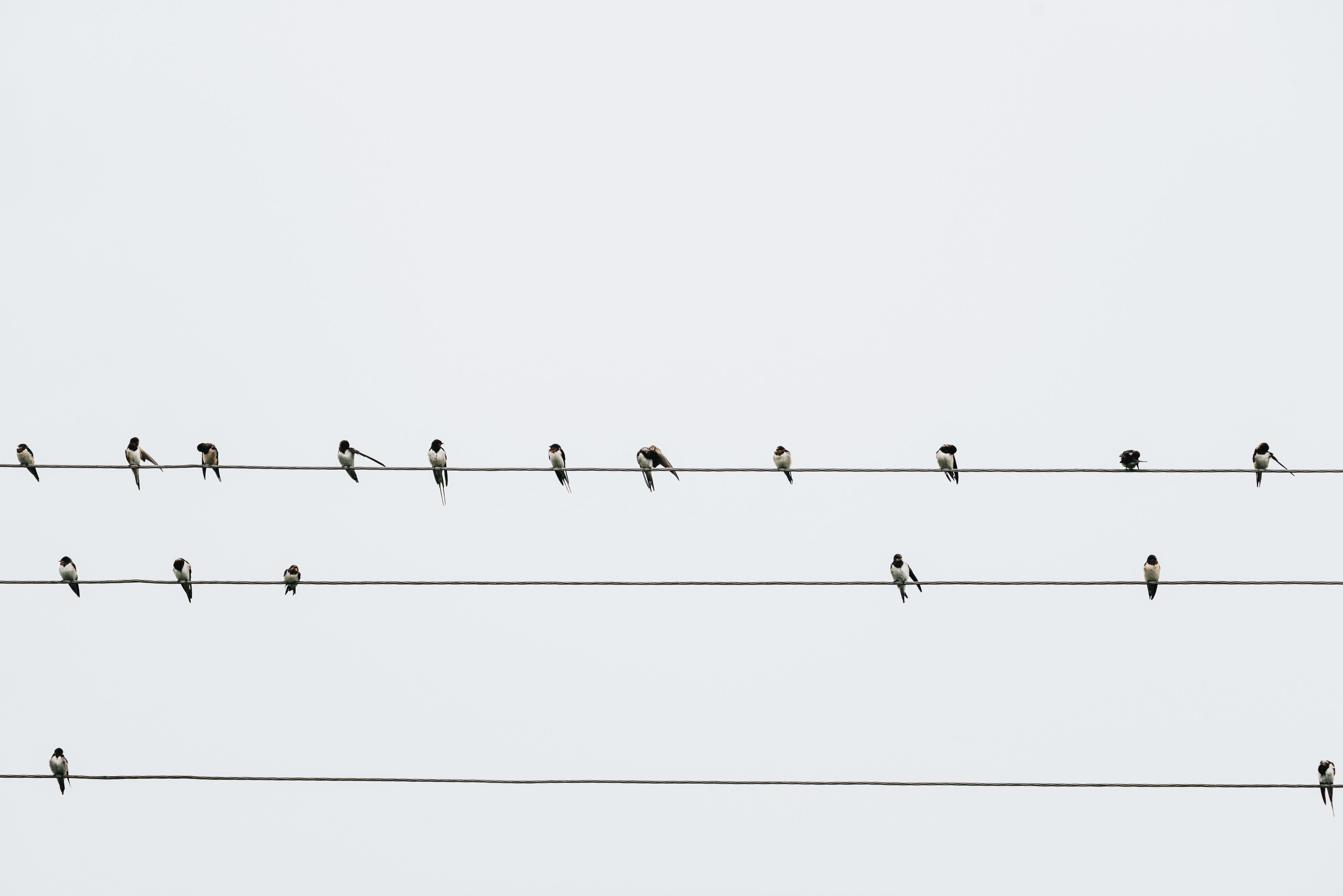 颅巢的个人主页（封面预览） - 主页封面设置 - 站酷设计师颅巢原创素材 - 站酷ZCOOL