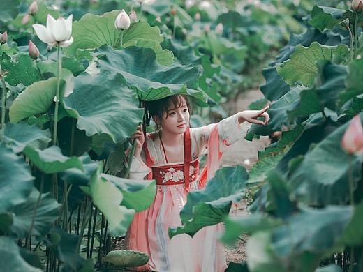 藕花深处