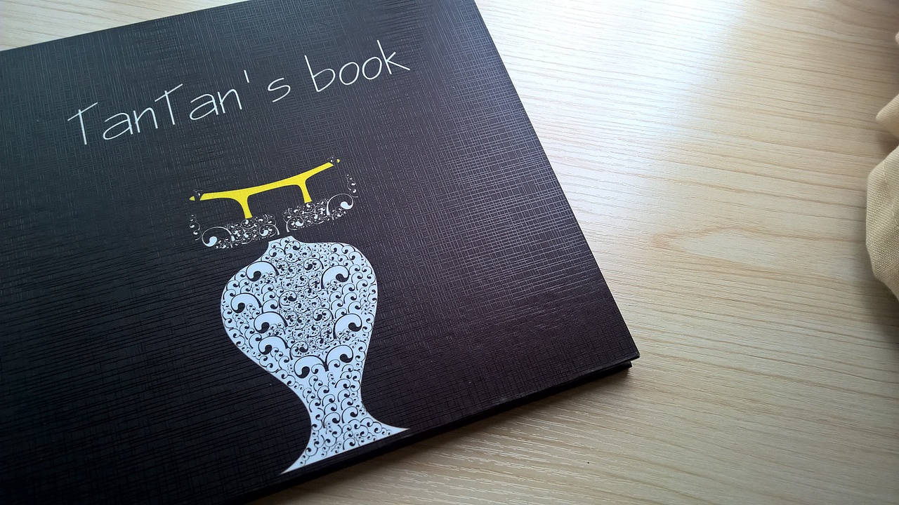 作品集封面设计,花瓶鸟。