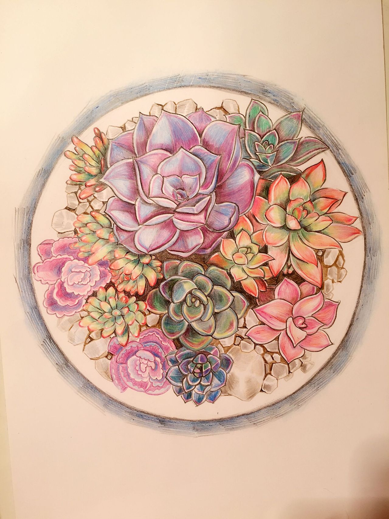 多肉（图ZNDk4ODcxMTI=） - 绘画 - 站酷设计师dora920原创素材 - 站酷ZCOOL