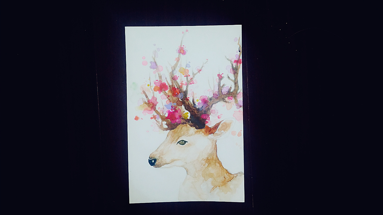 荷兰白卡400g 荷尔拜因108色